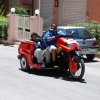 Burgio_2009 (566)